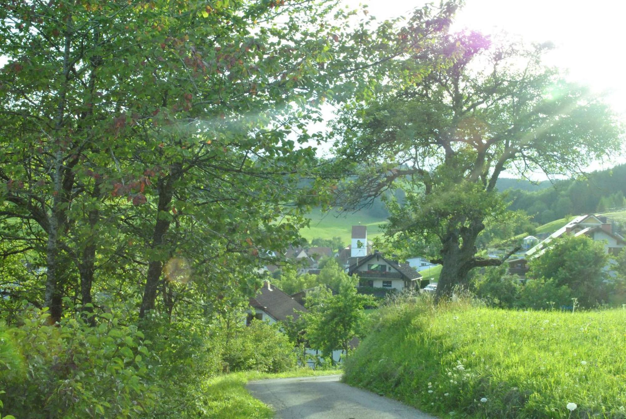 Gasthaus Kranz Lausheim Exteriör bild