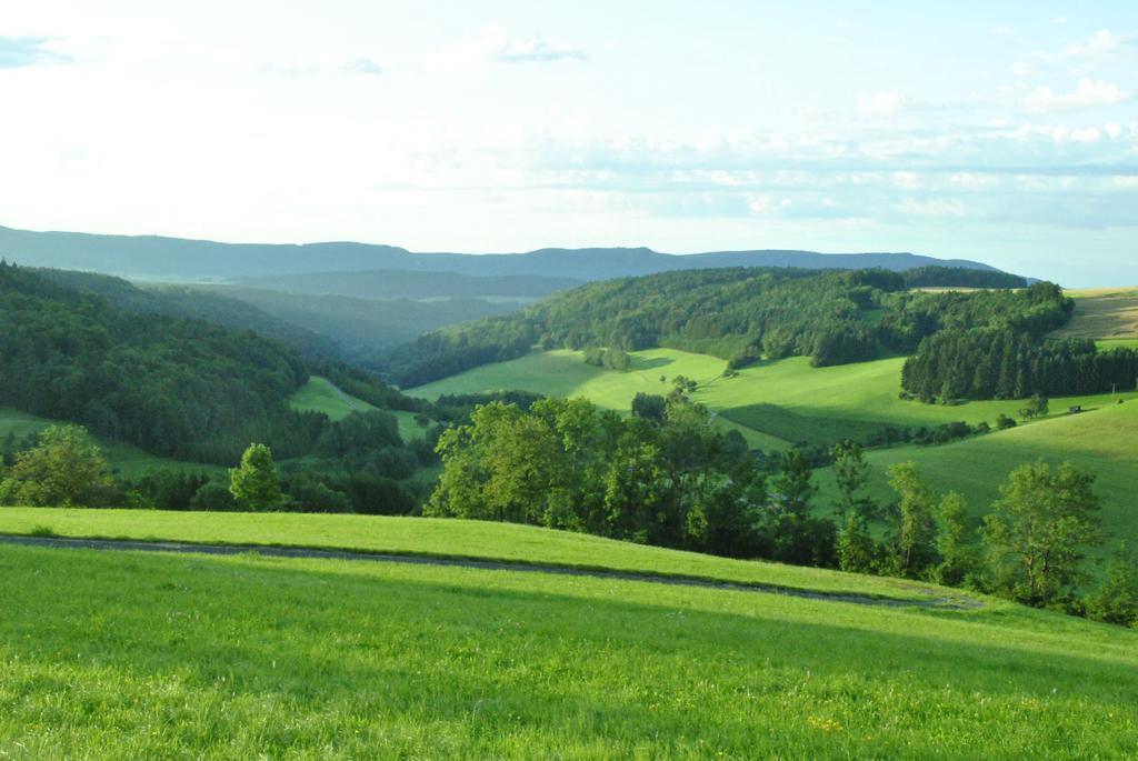 Gasthaus Kranz Lausheim Exteriör bild